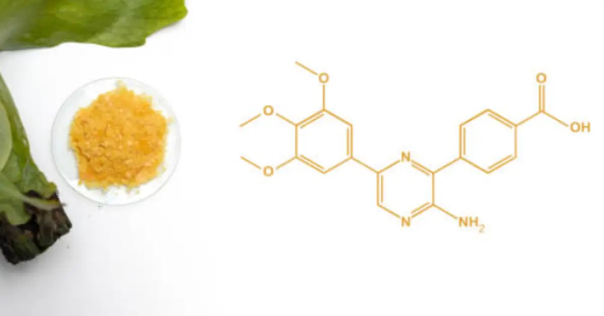 N-Propyl Propanoate: Structure, Synthesis, and Uses